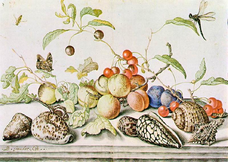 AST, Balthasar van der Still-life ggg Germany oil painting art